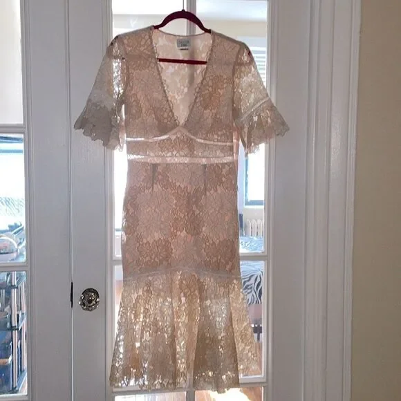 Saylor floral v neck lace maggy dress sheath flared peplum skirt size medium EUC - Picture 8 of 14